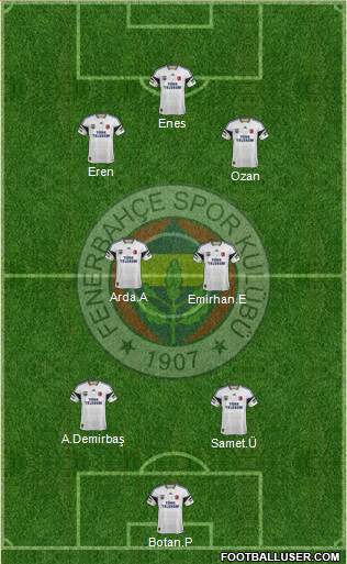 Fenerbahçe SK Formation 2015