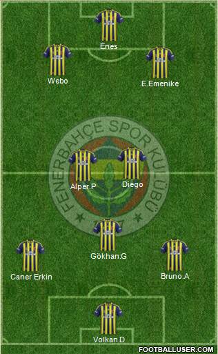 Fenerbahçe SK Formation 2015
