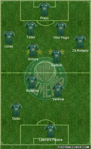 SE Palmeiras Formation 2015