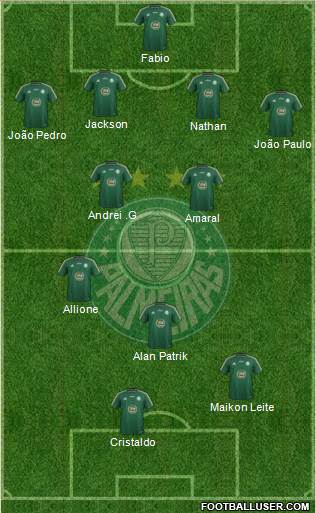 SE Palmeiras Formation 2015
