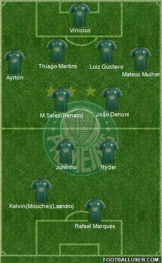 SE Palmeiras Formation 2015