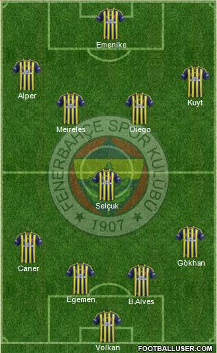 Fenerbahçe SK Formation 2015