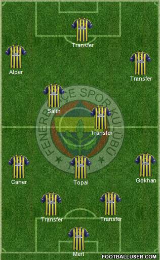 Fenerbahçe SK Formation 2015