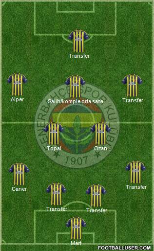 Fenerbahçe SK Formation 2015