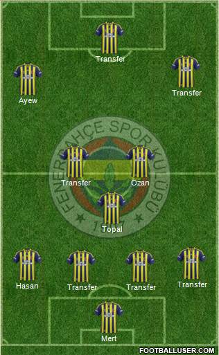 Fenerbahçe SK Formation 2015