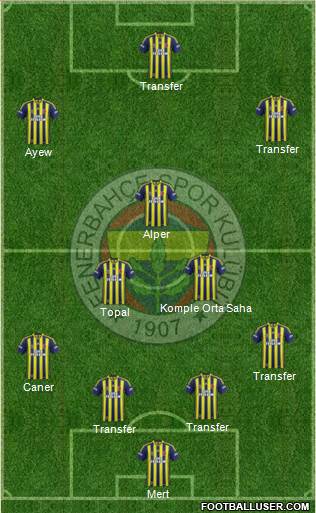 Fenerbahçe SK Formation 2015