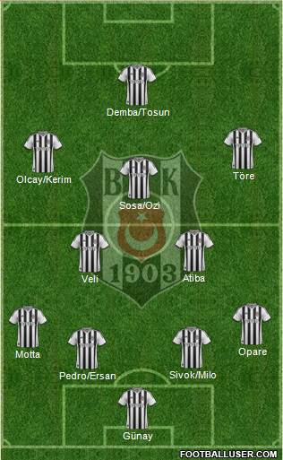 Besiktas JK Formation 2015