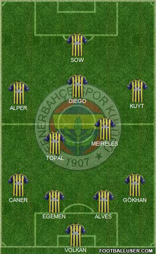 Fenerbahçe SK Formation 2015