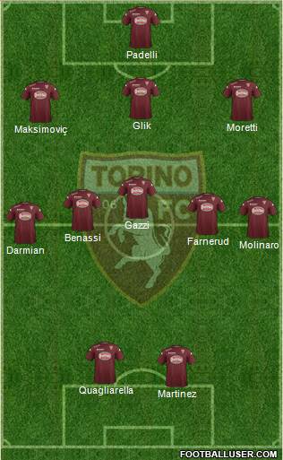 Torino Formation 2015