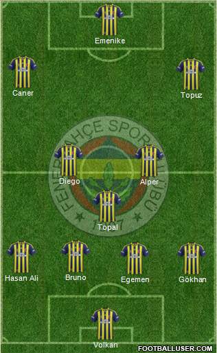 Fenerbahçe SK Formation 2015