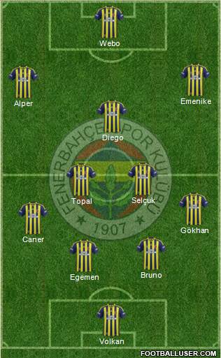 Fenerbahçe SK Formation 2015