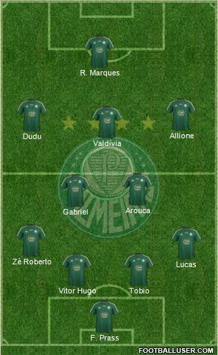 SE Palmeiras Formation 2015