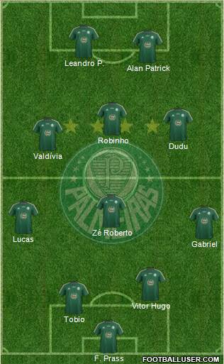 SE Palmeiras Formation 2015