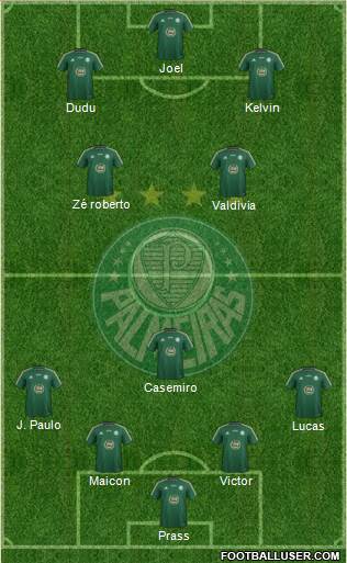 SE Palmeiras Formation 2015