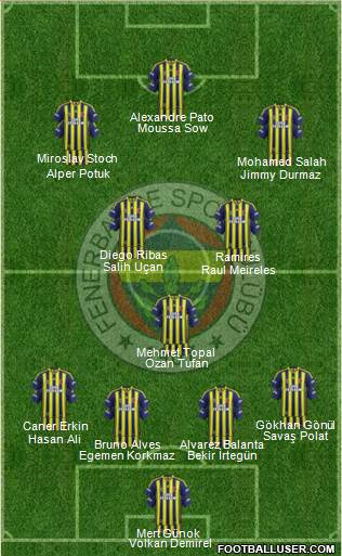 Fenerbahçe SK Formation 2015