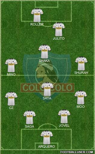 CSD Colo Colo Formation 2015