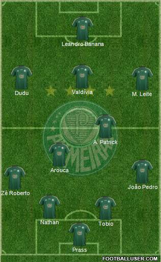 SE Palmeiras Formation 2015