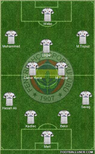 Fenerbahçe SK Formation 2015
