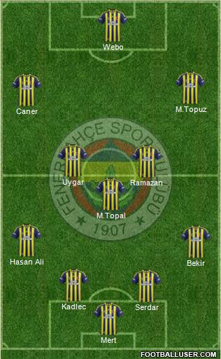 Fenerbahçe SK Formation 2015