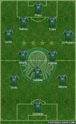 SE Palmeiras Formation 2015