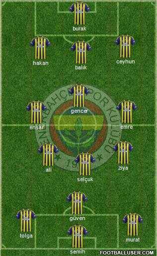 Fenerbahçe SK Formation 2015