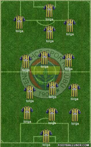 Fenerbahçe SK Formation 2015