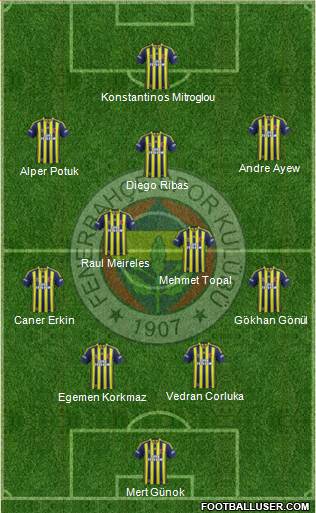 Fenerbahçe SK Formation 2015