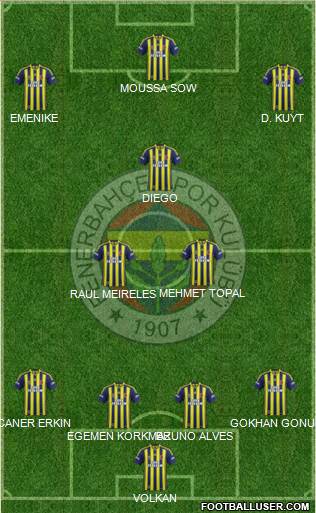 Fenerbahçe SK Formation 2015