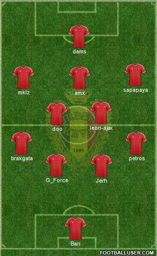 Belgium Formation 2015