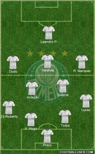 SE Palmeiras Formation 2015