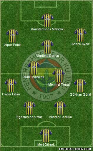 Fenerbahçe SK Formation 2015
