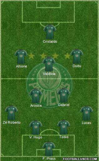 SE Palmeiras Formation 2015