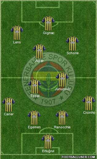 Fenerbahçe SK Formation 2015