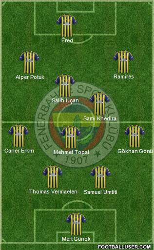 Fenerbahçe SK Formation 2015