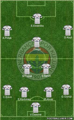 Fenerbahçe SK Formation 2015