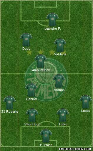 SE Palmeiras Formation 2015