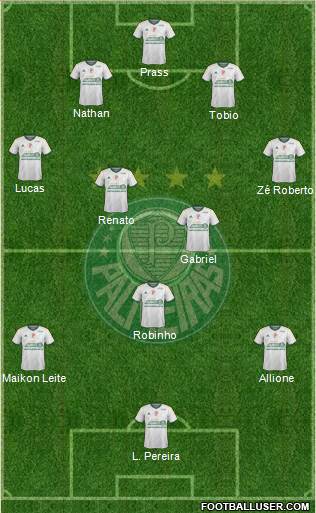 SE Palmeiras Formation 2015