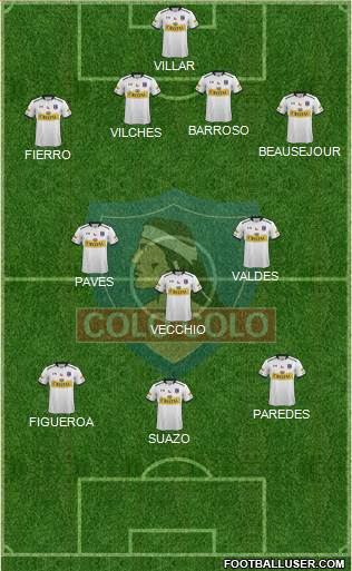 CSD Colo Colo Formation 2015