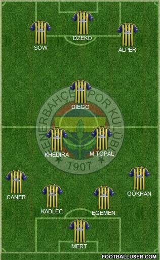 Fenerbahçe SK Formation 2015