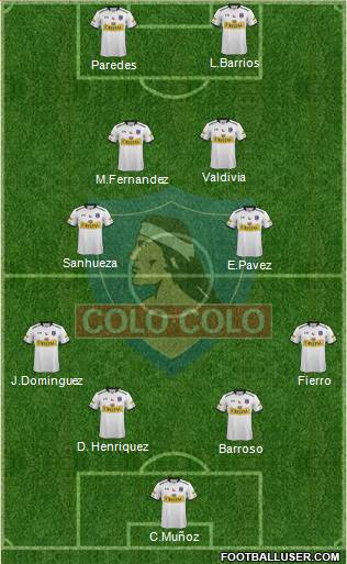 CSD Colo Colo Formation 2015