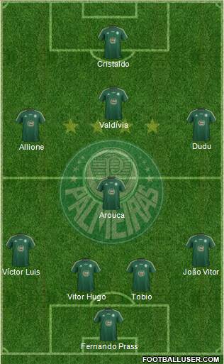 SE Palmeiras Formation 2015