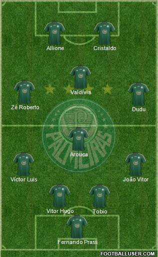 SE Palmeiras Formation 2015