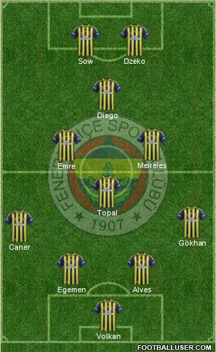 Fenerbahçe SK Formation 2015