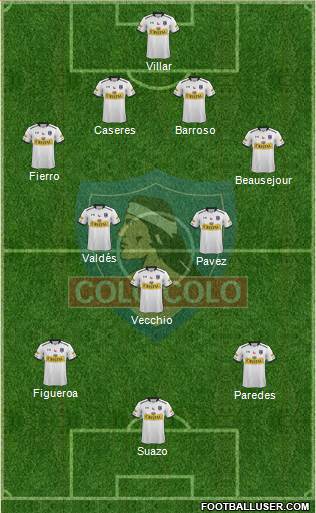 CSD Colo Colo Formation 2015