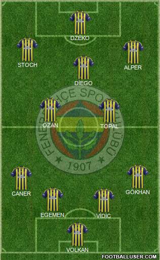 Fenerbahçe SK Formation 2015