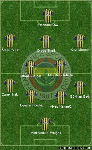Fenerbahçe SK Formation 2015
