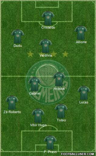 SE Palmeiras Formation 2015