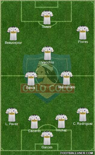 CSD Colo Colo Formation 2015