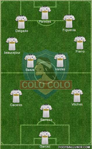 CSD Colo Colo Formation 2015