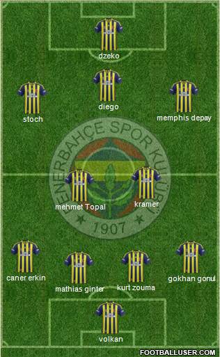 Fenerbahçe SK Formation 2015